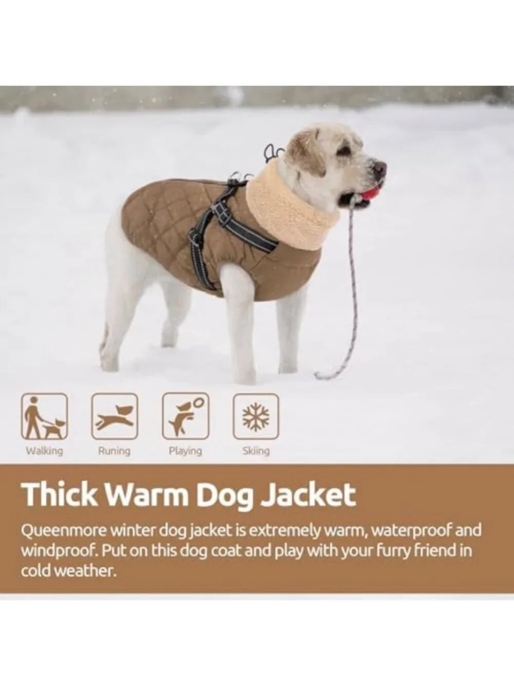 Cozy Dog Coat with Harness for Small Breeds - Dachshund Jacket, Warm & Stylish